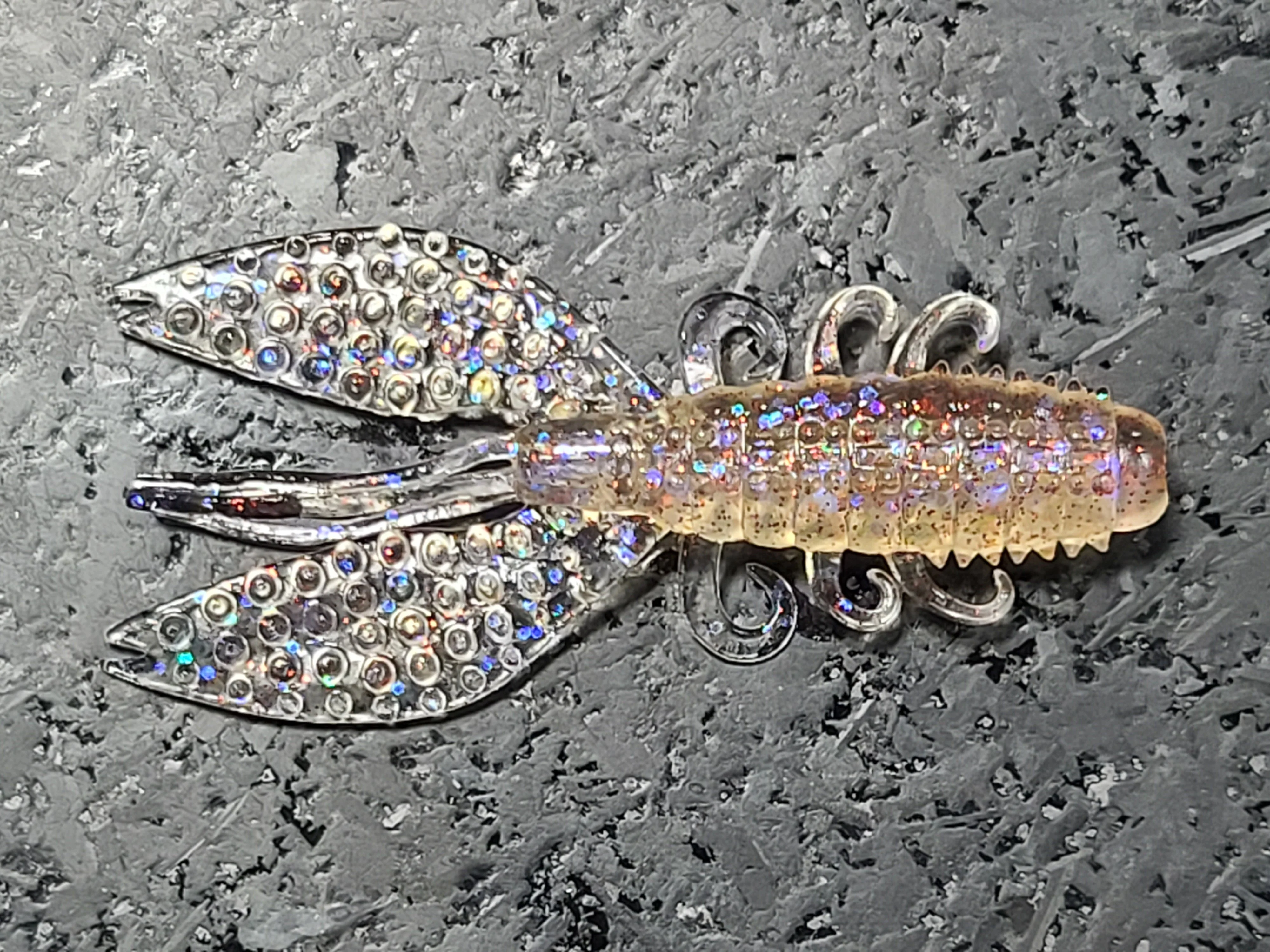 Spiny Craw - Image 20