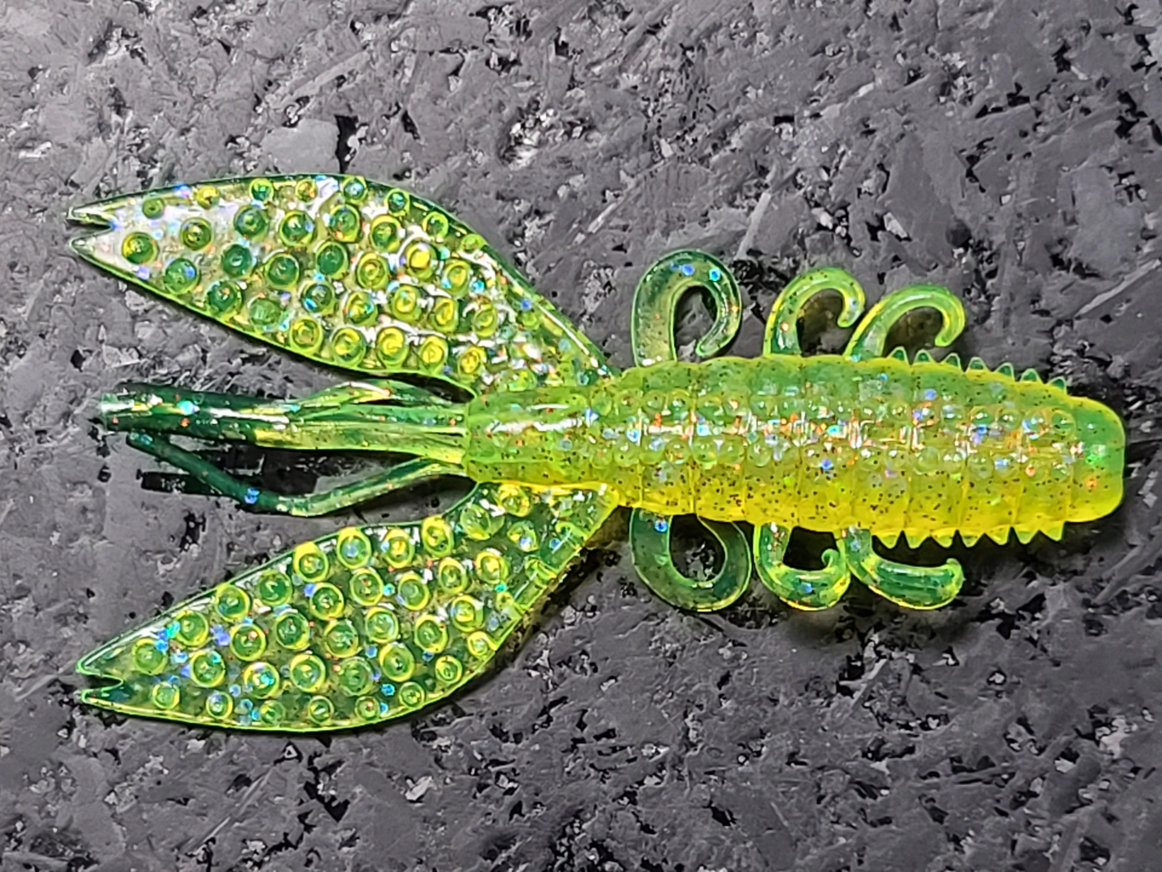 Spiny Craw - Image 21