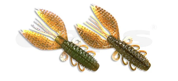 Spiny Craw - Image 3