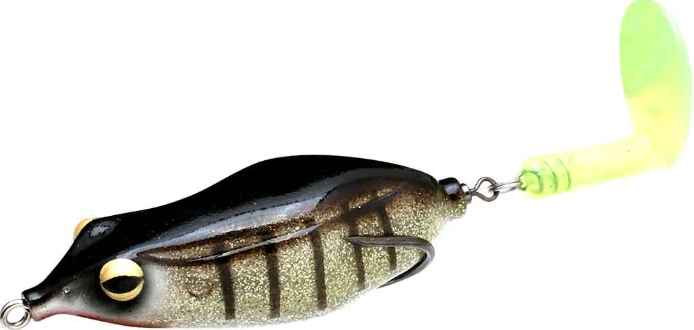 Sprinker Frog - Image 11