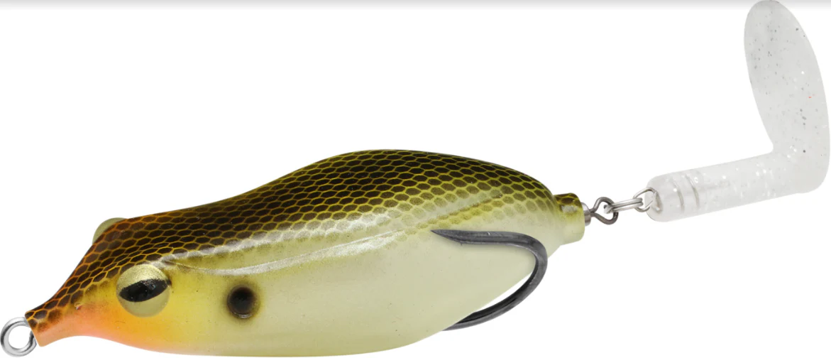 Sprinker Frog - Image 3