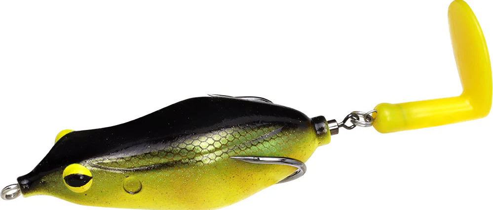 Sprinker Frog - Image 4