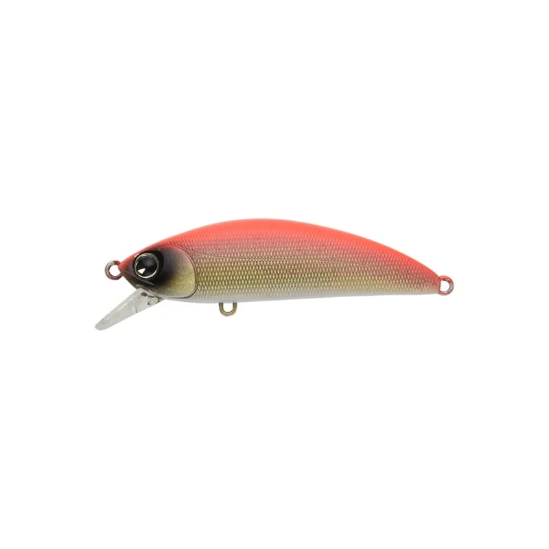 Sukari 50SS - Image 17