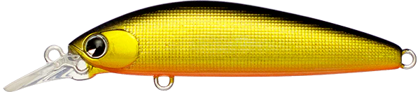 Sukari Ghost 50 - Image 2