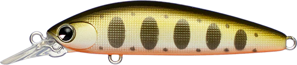 Sukari Ghost 50 - Image 4