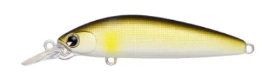 Sukari Ghost 50 - Image 7