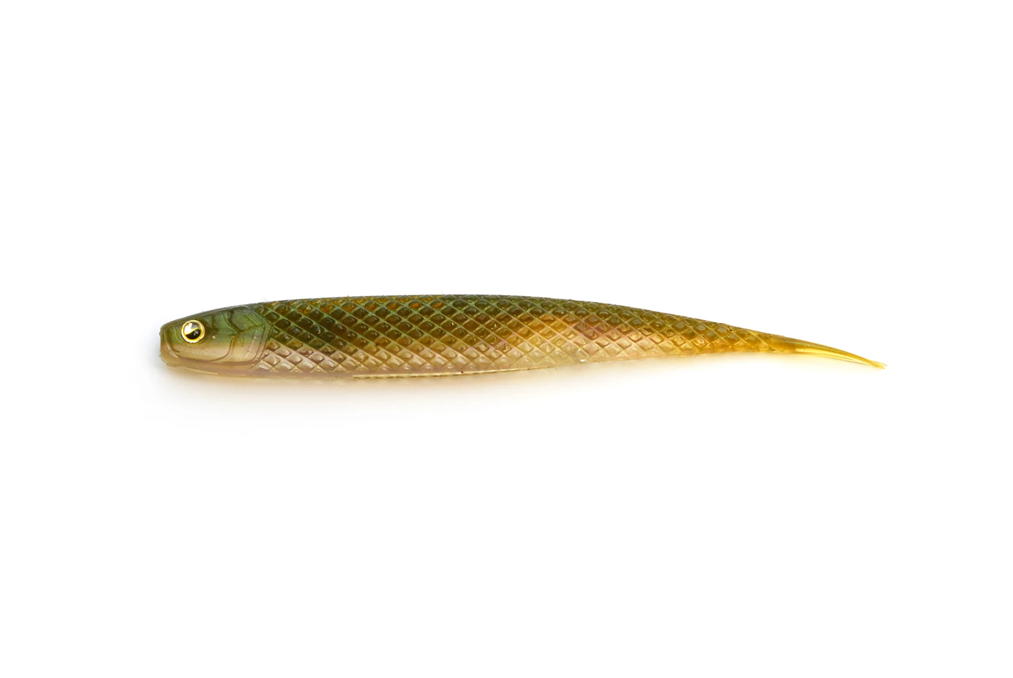 Super Fish Roller - Image 14