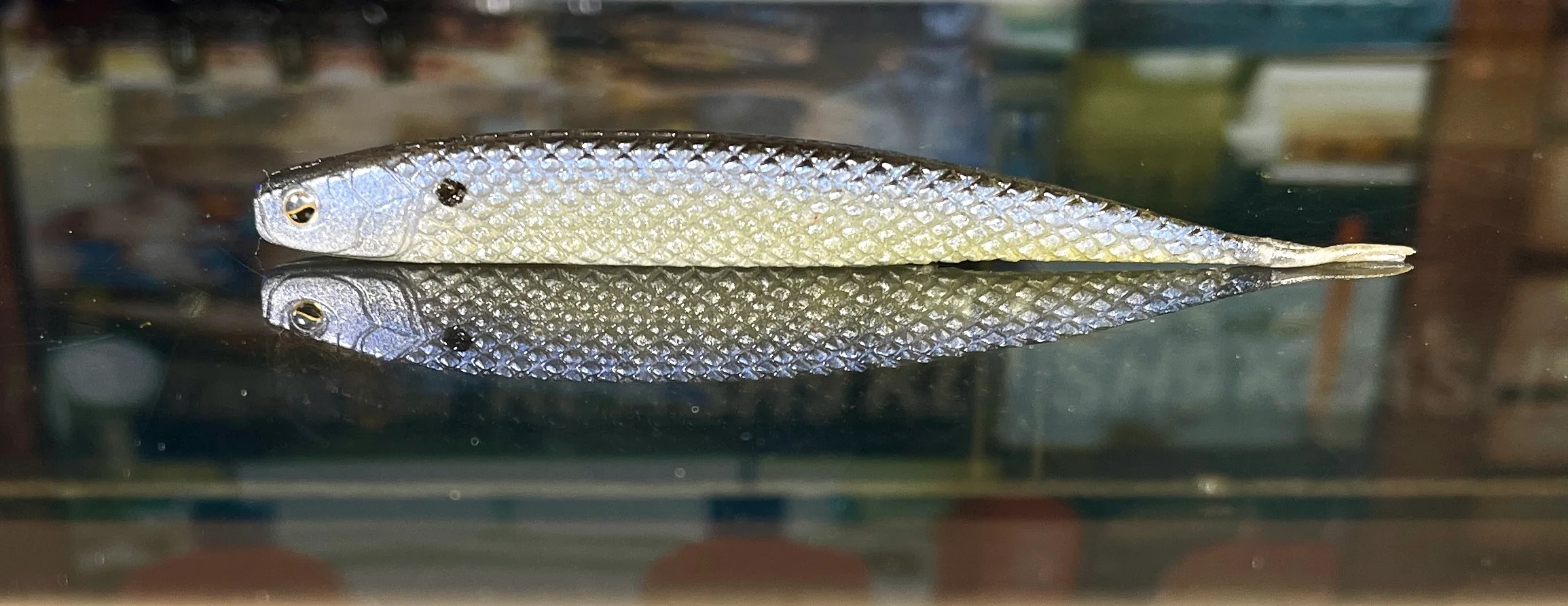 Super Fish Roller - Image 21