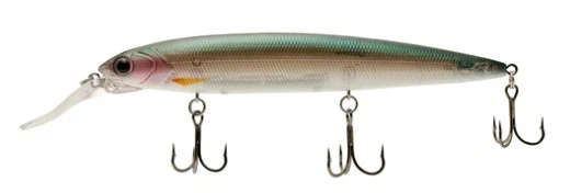 Tadamaki JP132 Rattle - Image 7