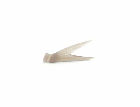 Klash Spare Tail - Image 2