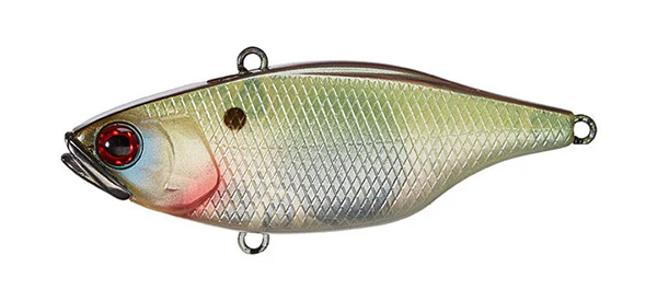TN Disk Knocker - Image 10