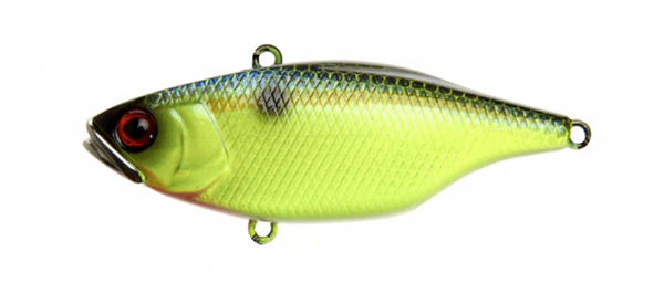 TN Disk Knocker - Image 9