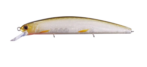 Varuna 110SP - Image 6